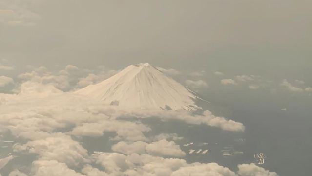 日本東京+箱根園水族館+大湧谷一日遊/行程可調-可定制多日