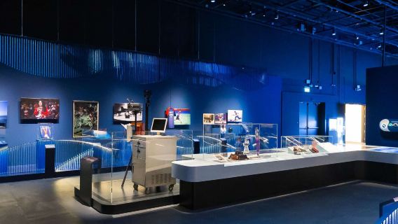 福康寧公園+新加坡國家博物館+小印度+哈芝巷+夜間野生動物園