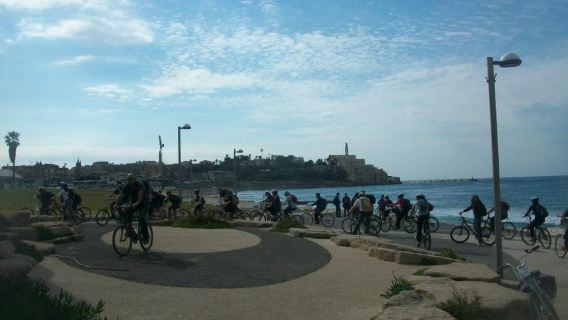 Tel Aviv 3-Hour Easy Bike Tour