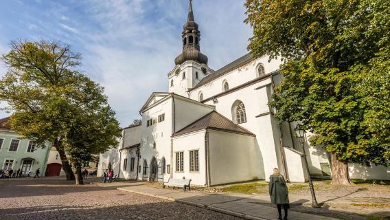 Tallinn: Tour đi bộ tham quan Phố cổ có hướng dẫn viên