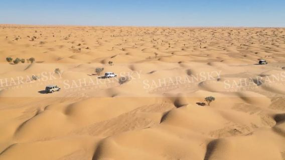 Douz: Sahara Desert Dune Ride with Tea Stop
