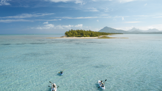 Chèo thuyền kayak: Sông Tamarin, có cá heo, đến Đảo Benitiers