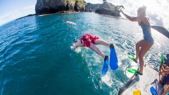 Дневной круиз Rock Adventure