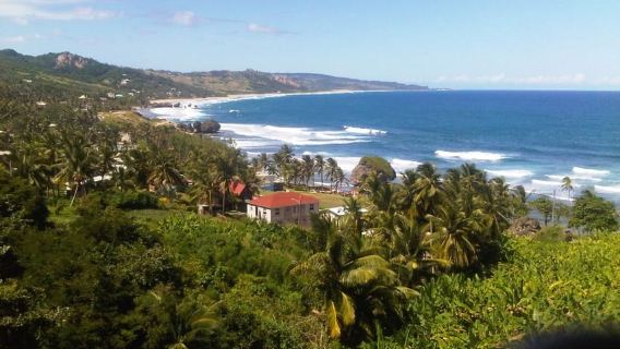 Barbados: Ladang Lawatan Pulau 5.5 Jam, Makan Tengahari dan Minuman