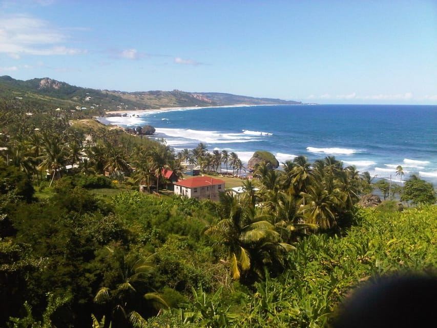 バルバドス：5.5時間のアイランドツアー（プランテーション、ランチ、ドリンク付き）