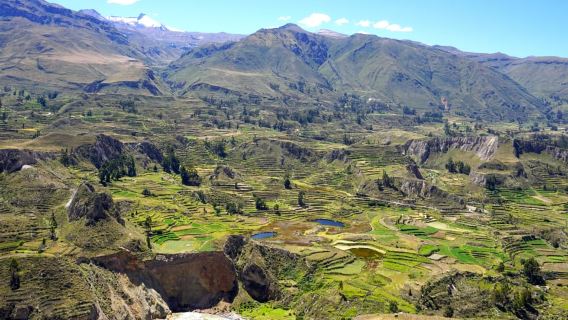 Chuyến đi trọn ngày đến Hẻm núi Colca từ Arequipa kết thúc tại Puno