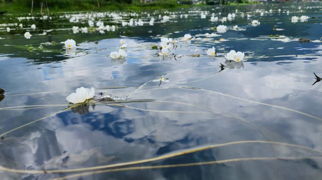 麗江瀘沽湖包車一日遊【一單一團-私享定制-360度環湖】