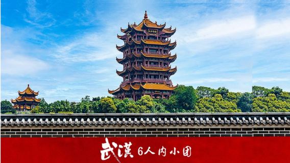 【2-6人小團-7座商務】黃鶴樓+武大+省博+東湖一日遊