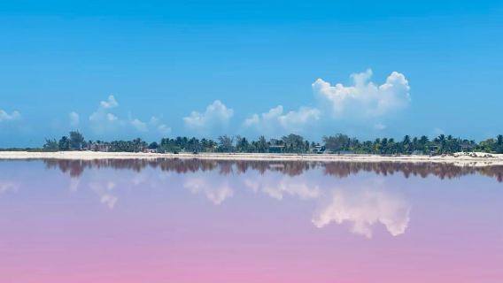 墨西哥坎昆粉紅湖+火烈鳥+坎昆海灘【中文私家包車+諮詢優惠】