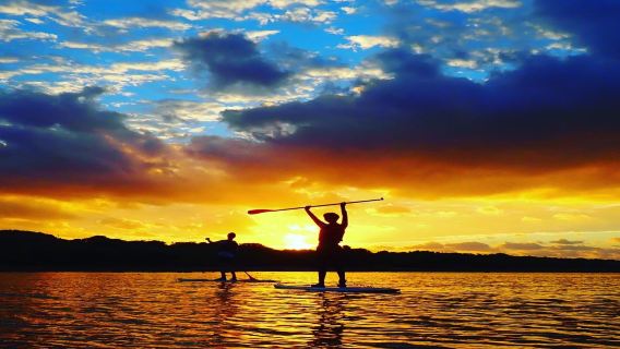 3-hour diving and snorkeling experience in Ishigaki, Japan [3-piece Ishigaki: Secret mangrove stand-up paddleboarding/Blue Cave snorkeling 3-hour tour]