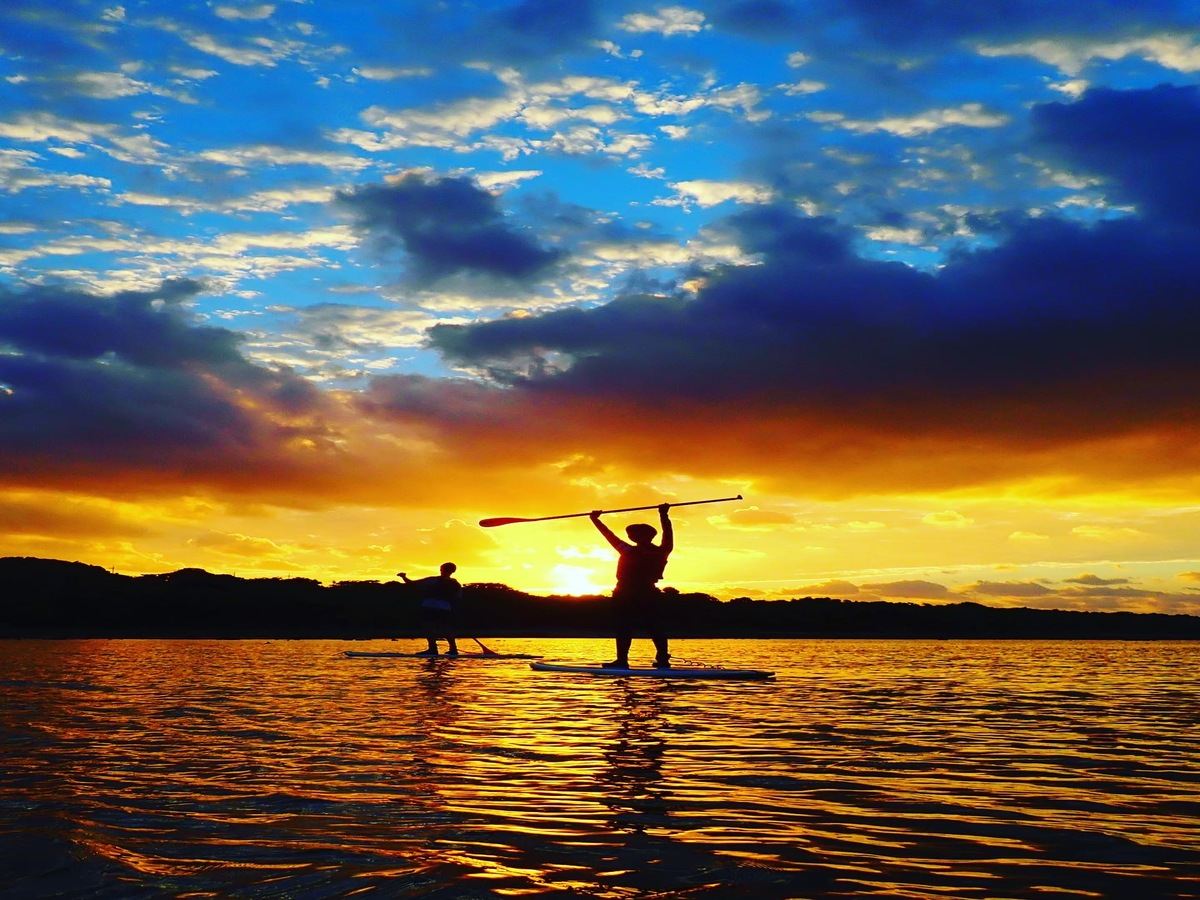3-hour diving and snorkeling experience in Ishigaki, Japan [3-piece Ishigaki: Secret mangrove stand-up paddleboarding/Blue Cave snorkeling 3-hour tour]