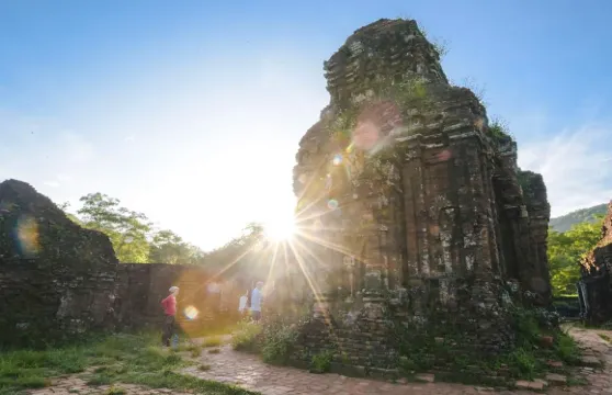 越南 峴港/會安出發 美山聖地半日遊（市區酒店接送）