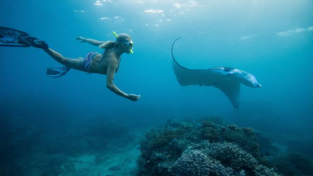 Снорклинг в 3 точках, включая Manta Bay на Нуса-Пенида, с обслуживанием на русском языке