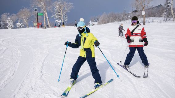 Частные уроки катания на лыжах или сноуборде (на китайском/английском) в Саппоро Тейне, Япония