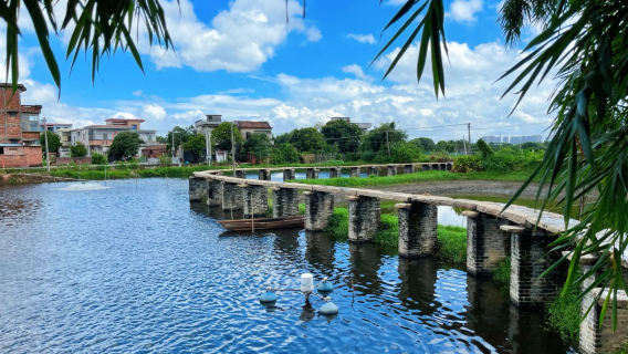 Guangzhou Round-Trip: Heshan Gulao Embankment + Century-Old Banyan Tree Grove + Dragon Boat Workshop Private Charter Day Tour in Jiangmen