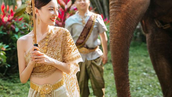 西雙版納野象谷+傣族園18人團一日遊【金牌導遊丨甄選純玩團】