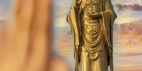 普陀山風景區一日遊純玩【拼小團最多9人】全程導遊陪同講解