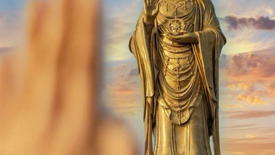 普陀山風景區一日遊純玩【拼小團最多9人】全程導遊陪同導覽