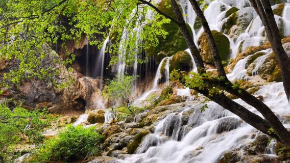 Departing from Jiuzhaigou County: Jiuzhaigou private charter 1-day tour
