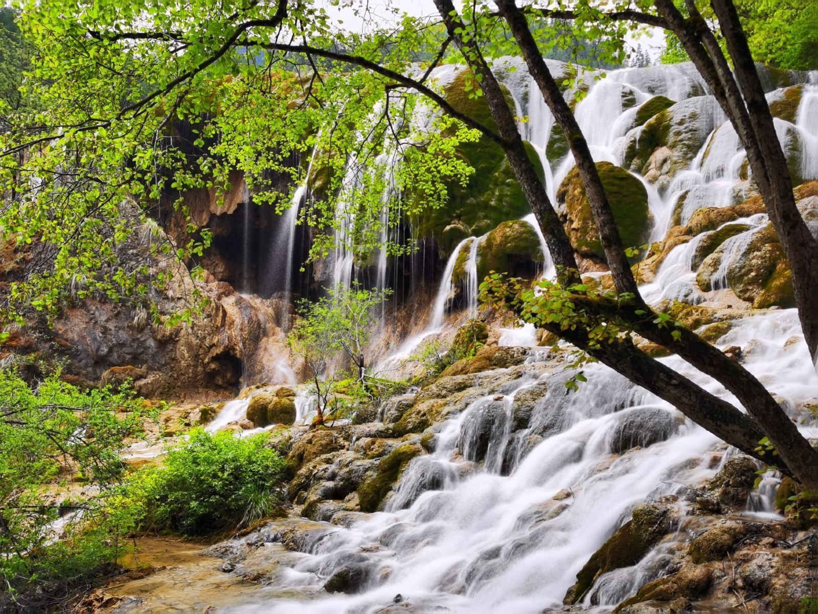 ออกเดินทางจากอำเภอจิ่วจ้ายโกว: ทัวร์ 1 วันเหมารถจิ่วจ้ายโกว