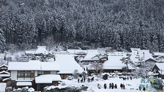 Tagesausflug zu Amanohashidate, den Bootshäusern von Ine und dem Dorf Kitamura in Miyama in Kyoto, Japan