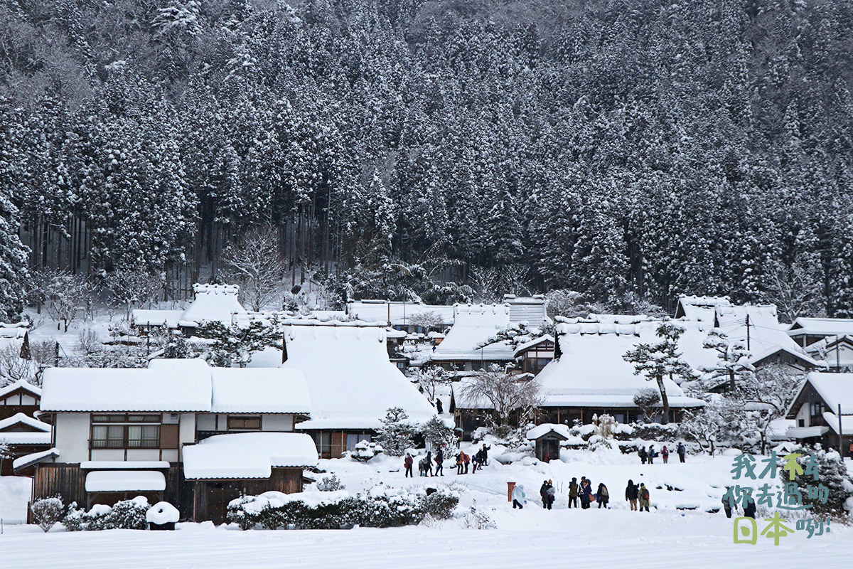 Kyoto Amanohashidate & Ine Fishing Village & Kayabuki No Sato Day Tour