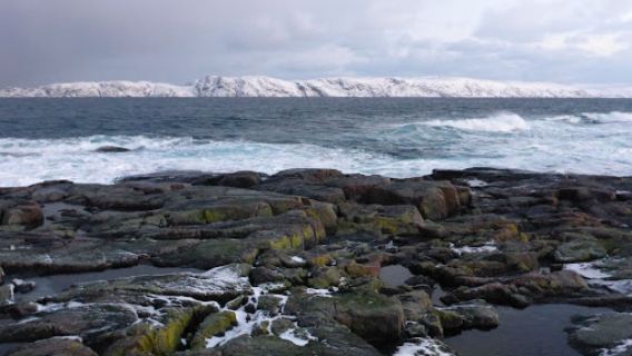 摩爾曼斯克+捷里別爾卡追尋極光之旅-中文包車一日遊【可定制】