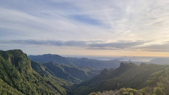 紐西蘭奧克蘭+霍比特村-陶朗加-可定制【中文專車-愜意舒適】