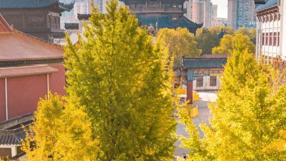 知音武漢【古琴台-晴川閣-歸元禪寺-山海關-黎黃陂路】