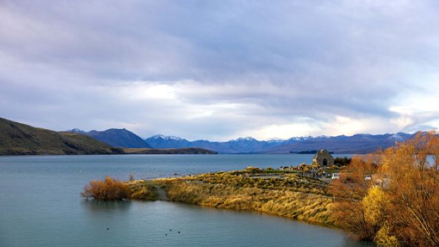 Jelajahi keindahan Pulau Selatan dengan Tekapo, Tasik Pukaki dan Gunung Cook dalam hidangan istimewa salmon dengan pemandangan tasik biru dan gunung bersalji