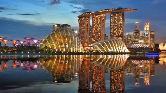 牛車水+魚尾獅+小印度+濱海灣+新加坡動物園+甘榜格南一日遊