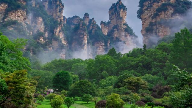 [Panoramic Tour] Zhangjiajie National Forest Park (Avatar) 1-Day Tour - Comprehensive Panoramic Coverage