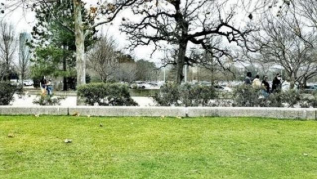 美國+休斯頓美術館+赫曼公園一日遊/行程可調-可定制