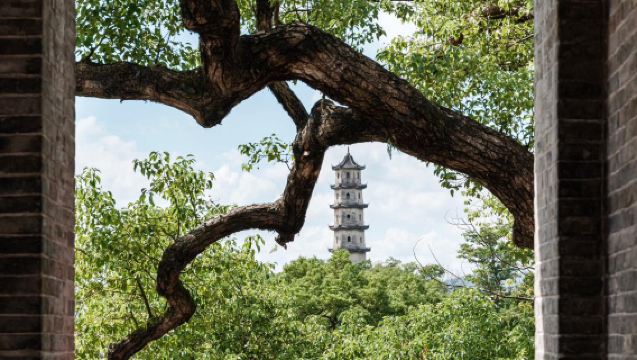 Wenzhou-Cangnan: Pemandu Pelancongan Bahasa Cina/Inggeris/Jepun/Korea/Jerman/Perancis/Rusia | Penterjemah Perniagaan | Penterjemah Pameran | Teman Pemasaran | Penterjemah Tempatan | Perkhidmatan Pelancongan Tempatan