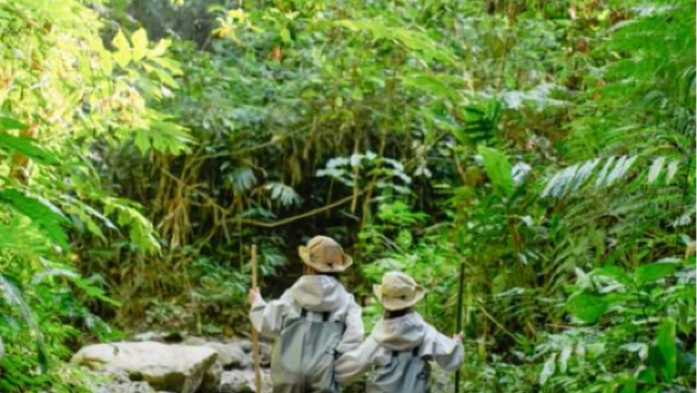 Xishuangbanna Jinuo Mountain Rainforest Hiking 1-Day Tour | Exclusive Small Group Adventure