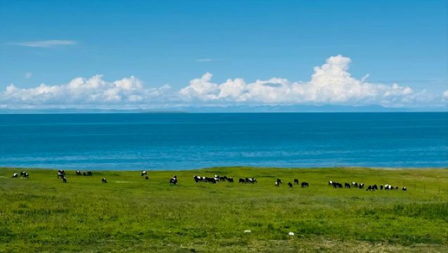 Excursión privada de un día al lago Qinghai (salida desde Xining)