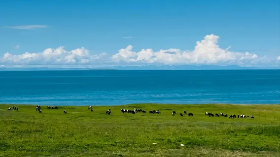 Tour privato di un giorno al Lago Qinghai (partenza da Xining)