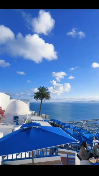 Carthage ruins + Blue and White Town + Medina of Tunis old town private chartered tour/can be customized