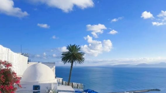 Carthage ruins + Blue and White Town + Medina of Tunis old town private chartered tour/can be customized