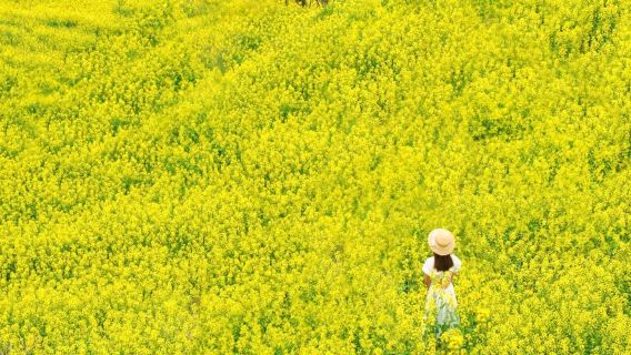 Lawatan Setengah Hari [Berlepas Setiap Hari Bermula 1 Orang + Jemputan Pintu ke Pintu] Huangling Wuyuan Jiangxi Termasuk Tiket Masuk dan Tali Sawat