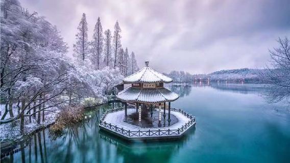 【純玩/無購物//優選行程】蘇州拙政園+周莊1日遊/古鎮旅遊