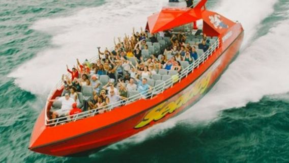 Chicago Seadog: Lakefront Speedboat Tour