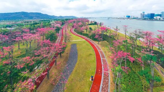 【私家團】珠海橫琴遊船+打卡橫琴地標景點