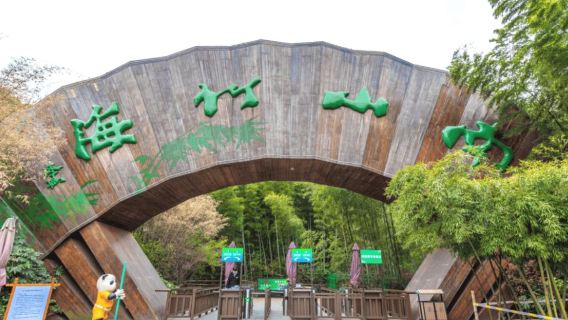 上海·蘇州·杭州·烏鎮·常州市區至天目湖南山竹海單程包車