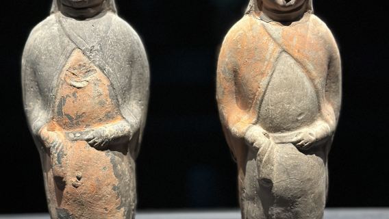 [Yang Hongtu] [Lawatan Setengah Hari ke Muzium Lukisan Dinding Dinasti Qi Utara Taiyuan] [Pemandu Pelancong Pakar] Fon Telinga Percuma