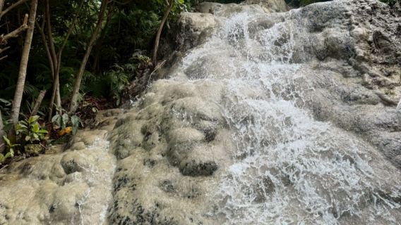 Excursión de medio día en Chiang Mai: Cascada Sticky + Elely Café de Elefantes + diversión