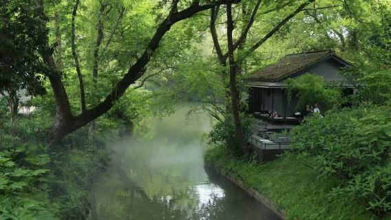 Hangzhou Xixi Fangfei banquet Hangzhou cuisine experience | includes cruise transfer + admission ticket to Wetland Shili Fangfei | board the boat to enjoy an elegant Hangzhou cuisine banquet in the garden