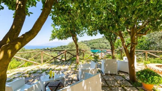 Lemon Grove Walk, Tastings, Aperitivo & Open Bar in Sorrento