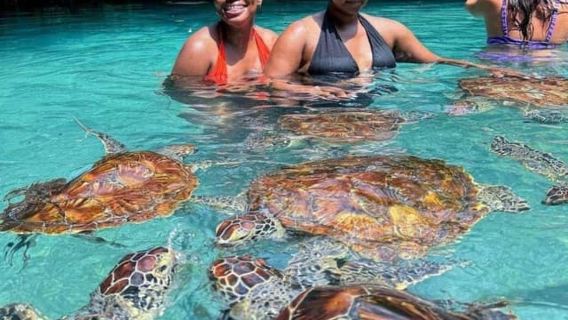 Swim with Turtles, Kendwa Beach &Sunset Dhow Drumming Cruise