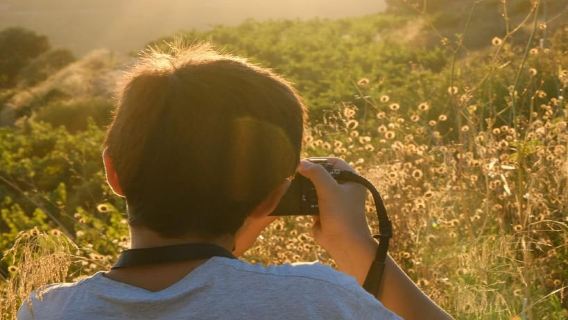 Bandol: Hiking tour in the vineyards of Château Canadel + tasting